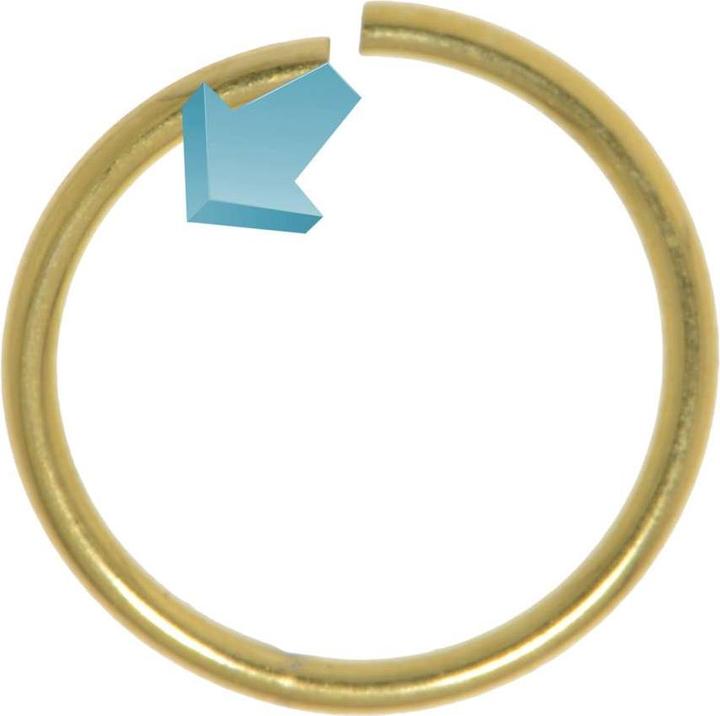 Immagine prodotto Bijouteria Nasenring (Acciaio inossidabile, Placcatura in oro)