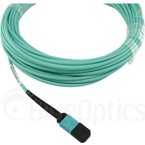 Thumbnail - BlueOptics Allied Telesis AT-MTP12-50 kompatibles MTP-MTP Multimode OM3 Patchkabel 50 Meter (50 m), Netzwerkkabel