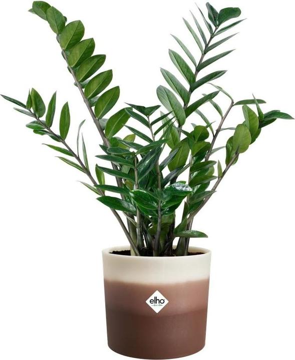 Produktbild Elho Pflanzengefäss Colour Gradient ø 16 cm (16 x 15 cm)