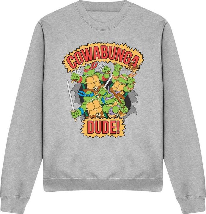 Immagine prodotto Teenage Mutant NT Cowabunga Dude Felpa Adulto Unisex (S)