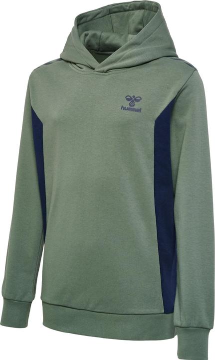 Produktbild hummel Hmlstaltic Cotton Hoodie Kids (128)