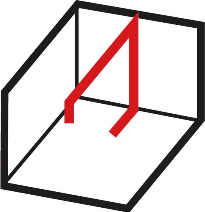 Actual product image Stabila Point laser self leveling