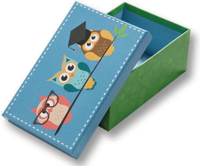 Actual product image Folia Gift boxes all year (6x)