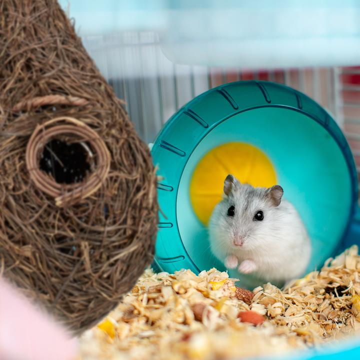 Productafbeelding Relaxdays Vogelnest