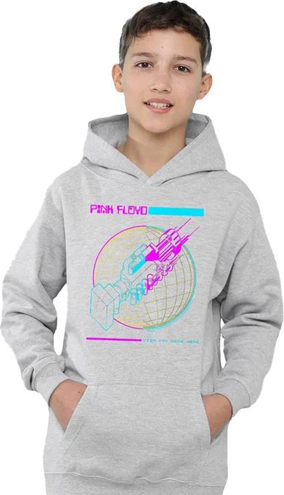 Produktbild Pink Floyd Wish You Were Here Kapuzenpullover Zum Überziehen (128)