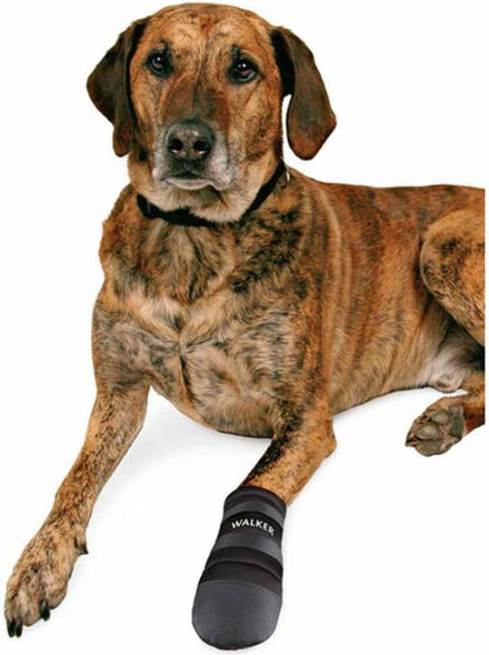 Image du produit Trixie Protection de la patte - Soins aux marcheurs (3XL, Chaussures pour chien)