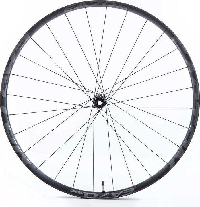 Bontrager Aeolus Elite 35V TLR Disc Rennradlaufrad - Galaxus