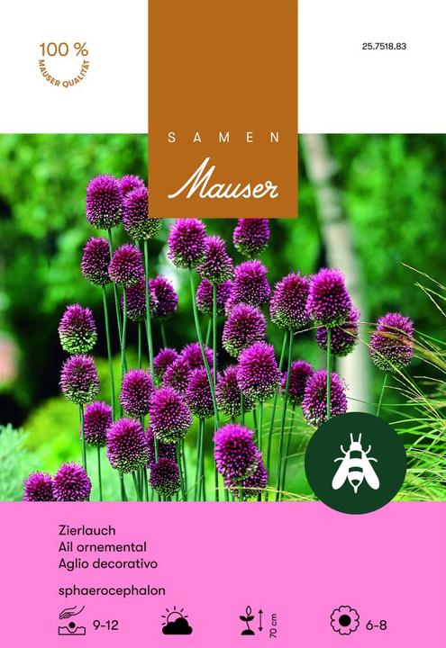 Produktbild Samen Mauser Allium sphaerocephalon (Blumenzwiebeln)