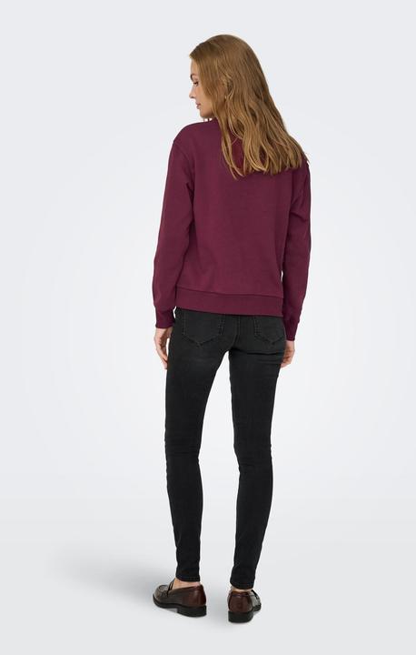 Produktbild JdY JDYPARIS Sweatshirt Sweatshirt (L)