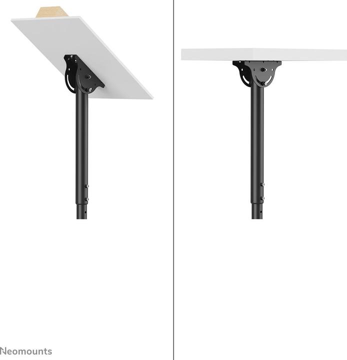 Actual product image Neomounts Nm-C440black (Wall, 60")