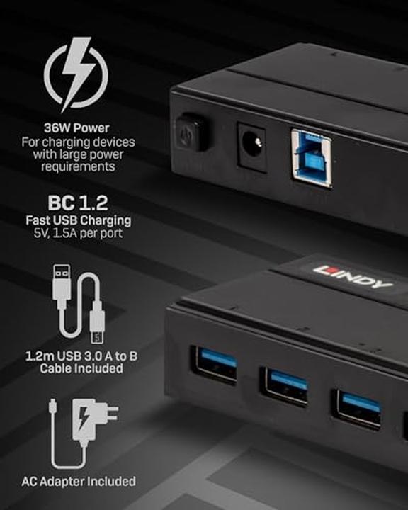 Immagine prodotto Lindy 43228 (USB-B, 7 porte)