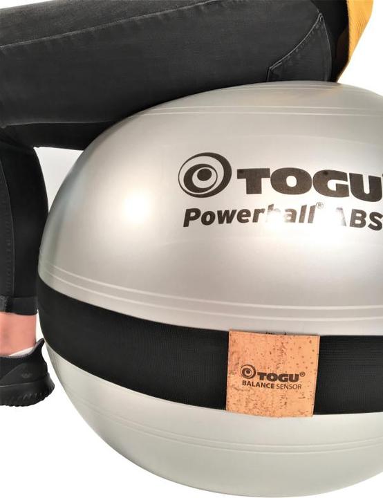 Image du produit Togu BalanceSensor Powerball®, argent, 65.0000 cm