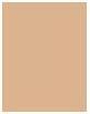 Actual product image Dermacol Collagen Make Up (Pale 1.0)