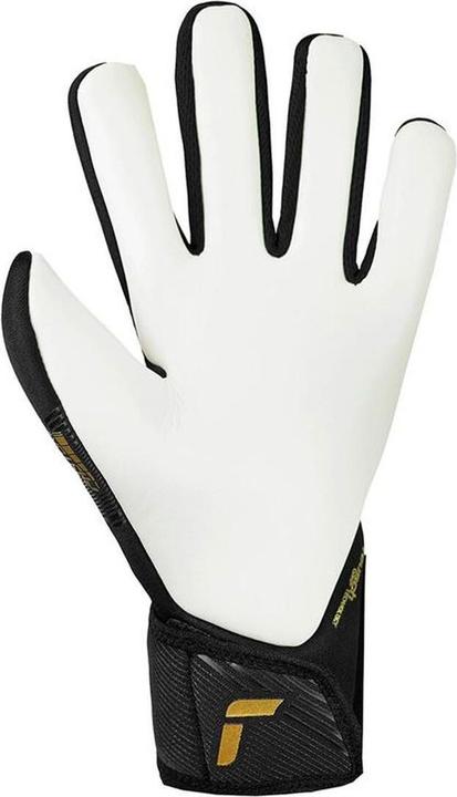 Produktbild Reusch Fastgrip Silver Herren Torwarthandschuhe (10, 8)