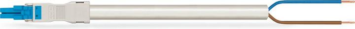 Actual product image Wago confect. Connection cable (4 m)