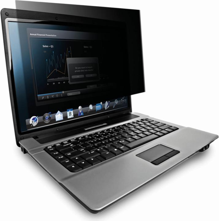 Immagine prodotto 3M Pf173w9b (17.30", 16 : 9)