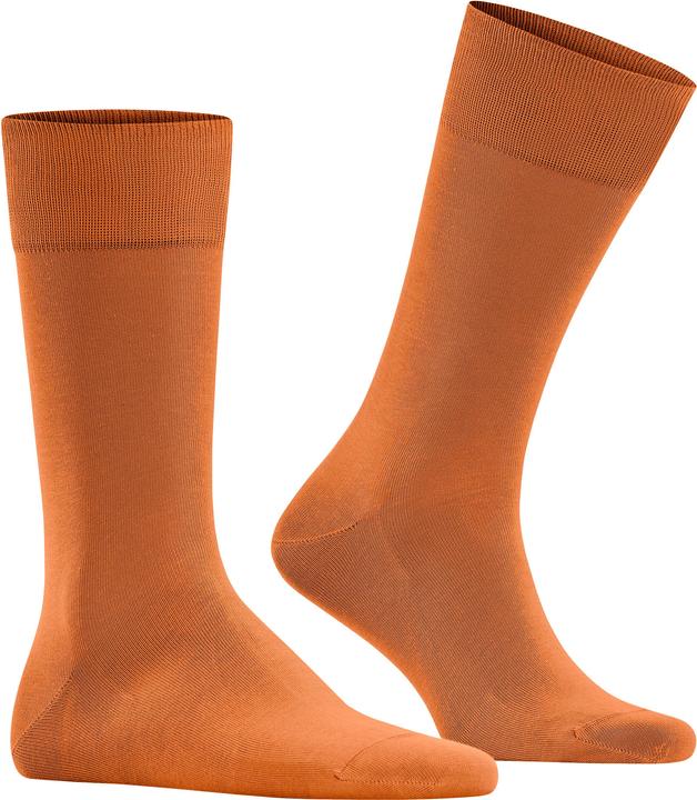 Produktbild Falke Cool 24/7 (Einzelpack, 41 - 42)