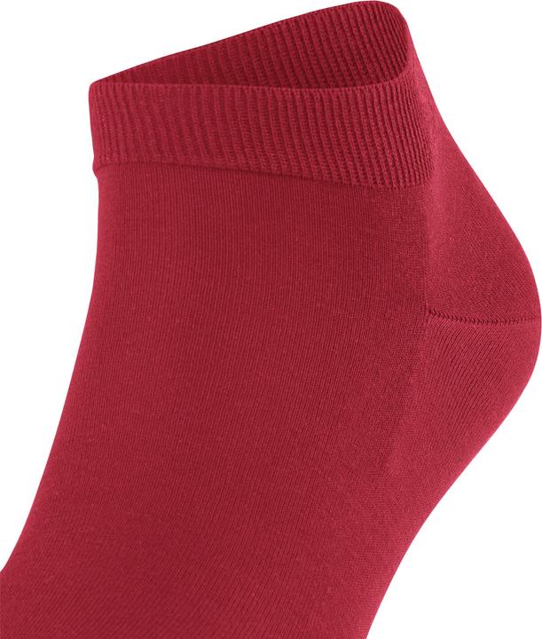 Produktbild Falke ClimaWool SN (Einzelpack, 43 - 44)