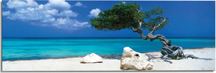 Reinders Deco Panel 52x156 cm Divi Divi Tree (156 x 52 cm)