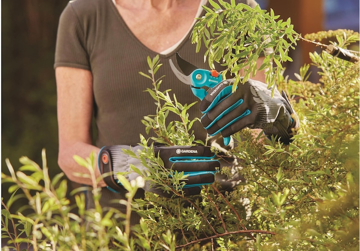 Image du produit Gardena Gant de soin pour arbustes (M)