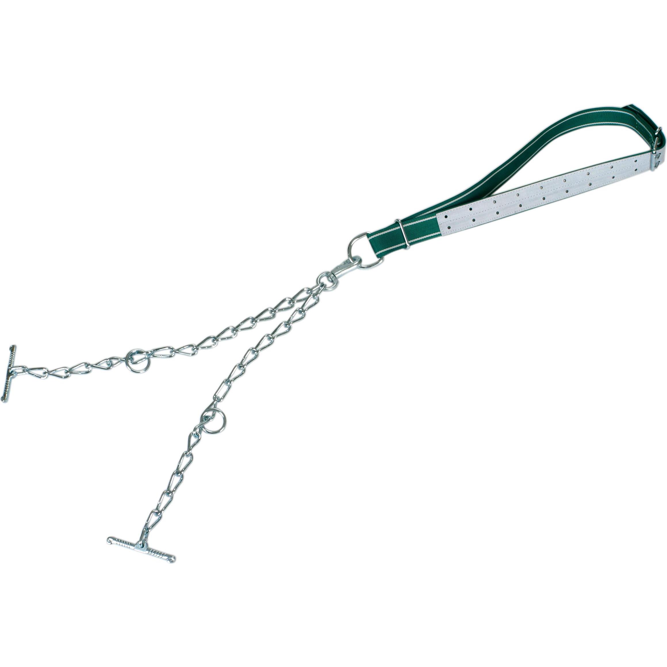 Kerbl Maglia toro giovane completa, catena 6 mm, doppia, con moschettone (Cane, Generale), Collare + Guinzaglio