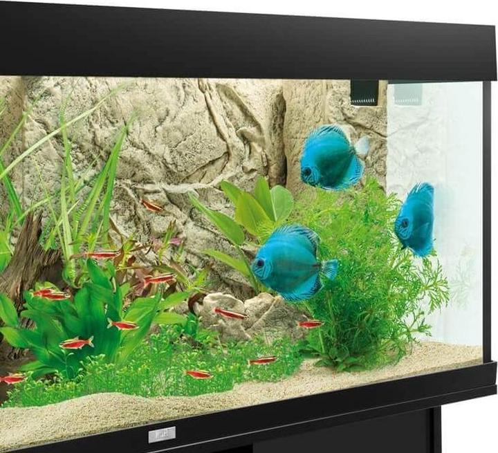 Actual product image Juwel Aquarium Motif back wall JUWEL Cliff Light (Rear panel, other items)