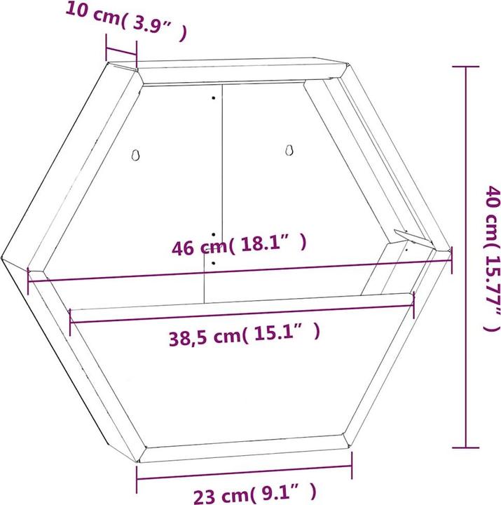 Image du produit vidaXL Wand-Pflanzkübel