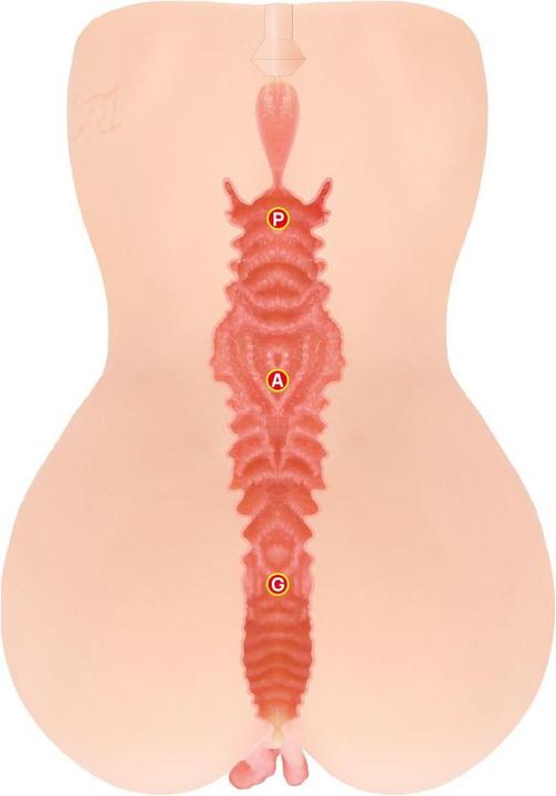 Actual product image Kokos - Onahole Edition 001 Double Layer XL Masturbator