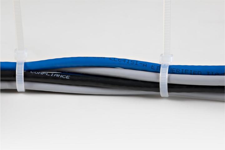 Image du produit StarTech 10"(25cm) Cable Ties, 1/8"(4mm) wide, 2-5/8"(68mm) Bundle Diameter, 50lb(22kg) T (2500 mm, 100 pcs)