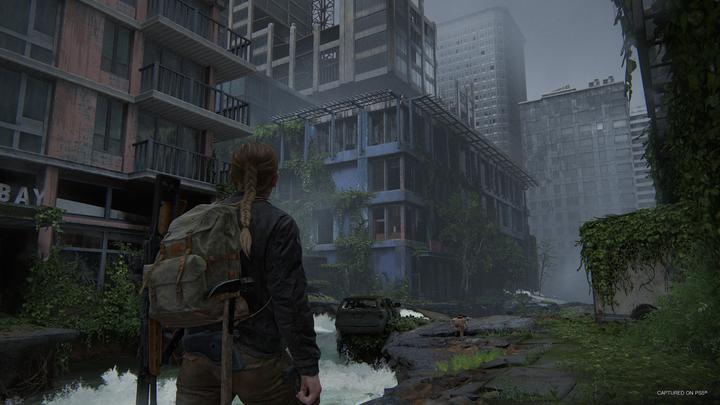 Image du produit Sony The Last of US Part II Remastered (PS5, Multilingue)