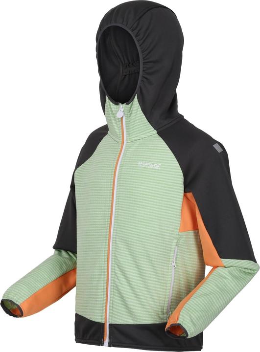 Produktbild Regatta Prenton II Softshelljacke mit Kapuze (116)