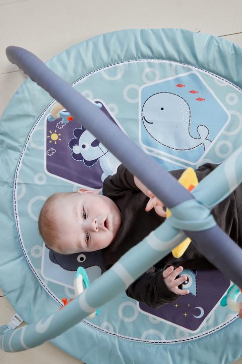 Actual product image Scandinavian Baby Products Zoo Activity Gym