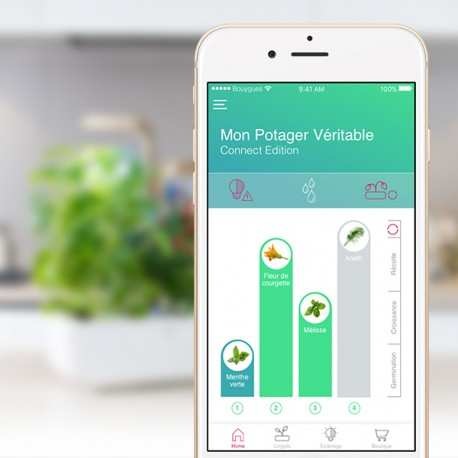 Image du produit Véritable VERITABLE CONNECT Indoor Garden gold incl. 4 packs (33 cm)
