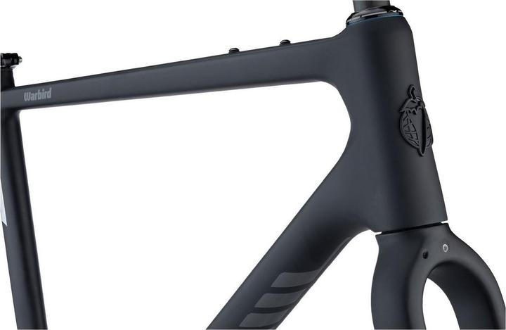 Actual product image Salsa Warbird Carbon Gravel Frameset, 650b/700c, black