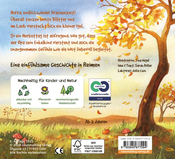 Actual product image Flieg, kleiner Drachen! (German, Sarah Roller, Tina Nagel, 2018)