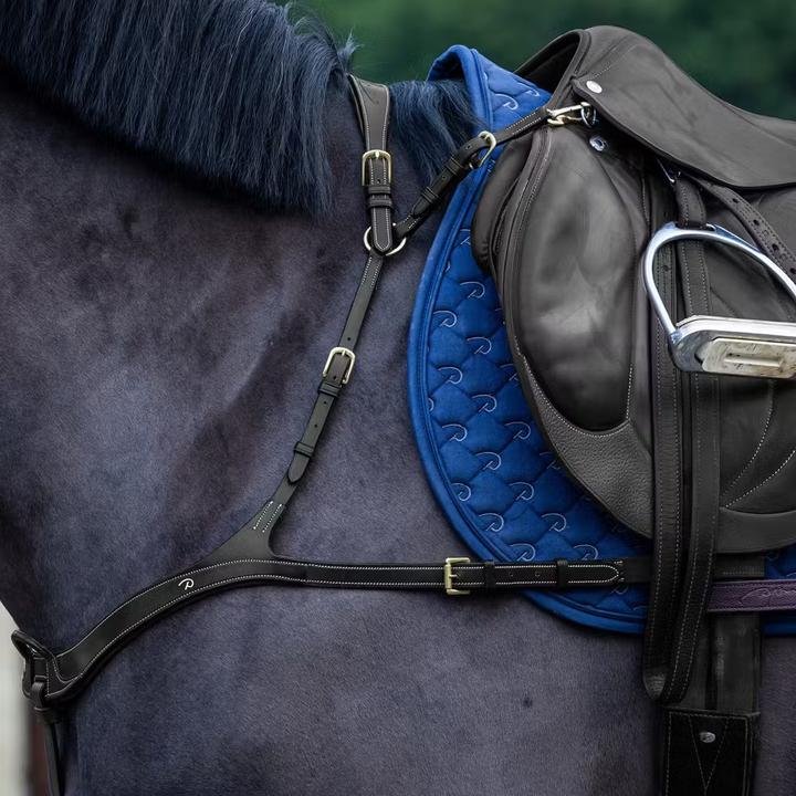 Produktbild Dy'on Vorderzeug anatomisch