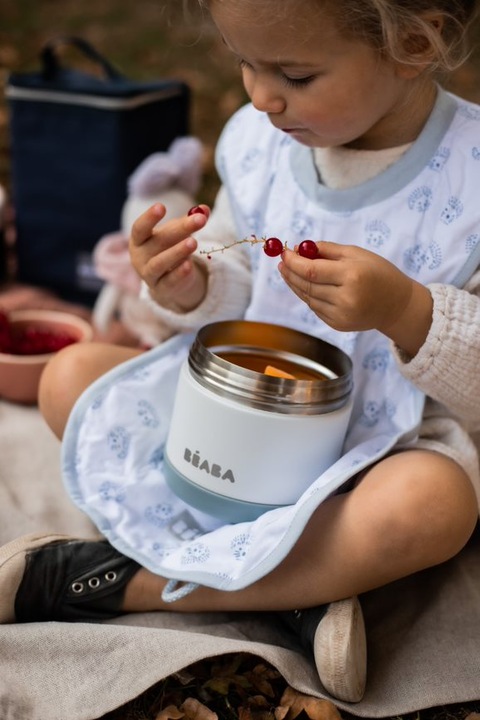 Actual product image Beaba Inox Portion Iso