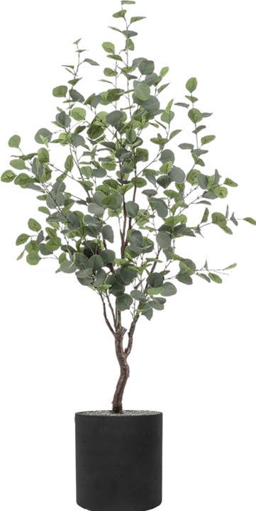Image du produit Emerald Merna (120 cm)