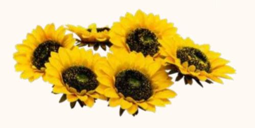 Immagine prodotto Dekomat Kunstblume Sommenblumenblüten 6 Stück