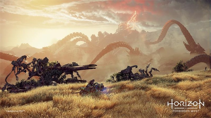 Immagine prodotto Sony Horizon Forbidden West (PS5, EN)