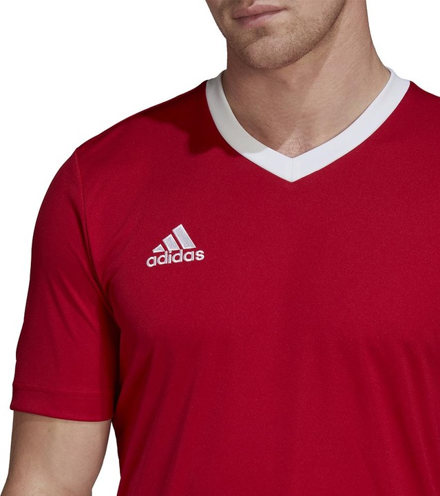Actual product image adidas Entrada 22 Football Shirt Men (M)