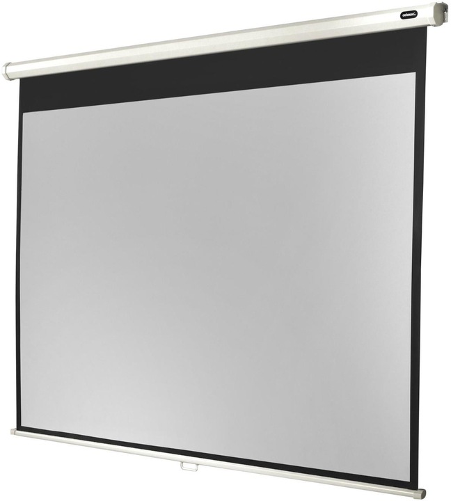 Actual product image Celexon Rollo Economy, Canvas, 4:3 (82.28", 4:3)