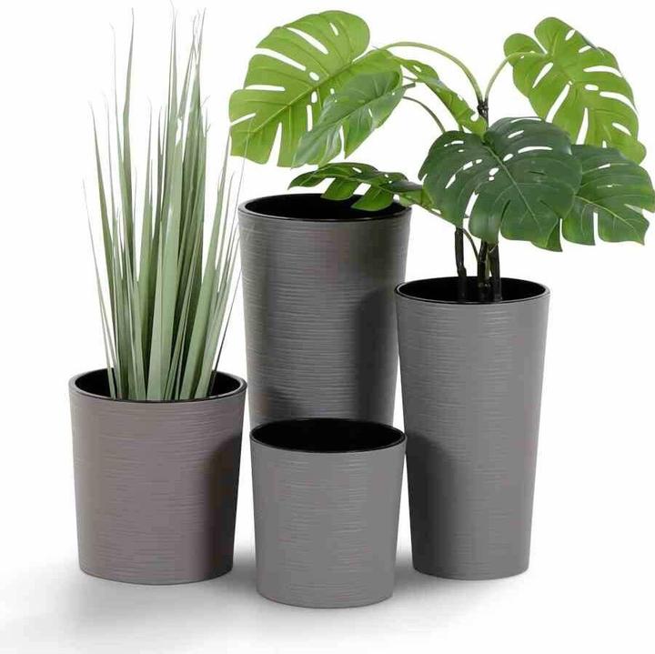 Actual product image Siena Garden ECO Locon (30 cm)
