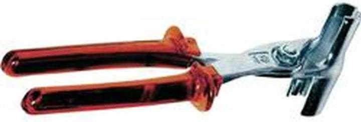 Pinza