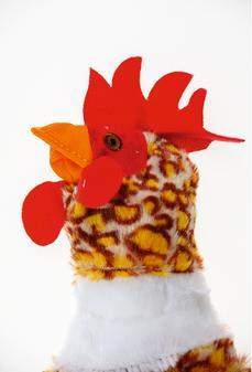 Immagine prodotto Karlie Peluche Giocattolo Flatinos Pollo (Cane di peluche)