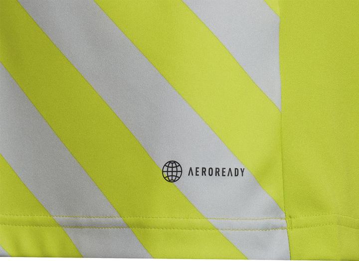 Produktbild adidas Entrada 22 Graphic Trikot (116)