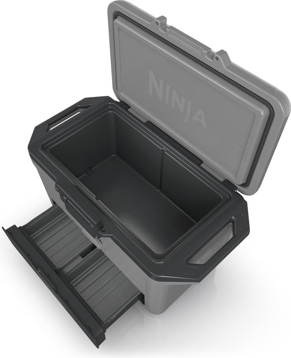 Actual product image Ninja FrostVault FB151EUGY (47 l)