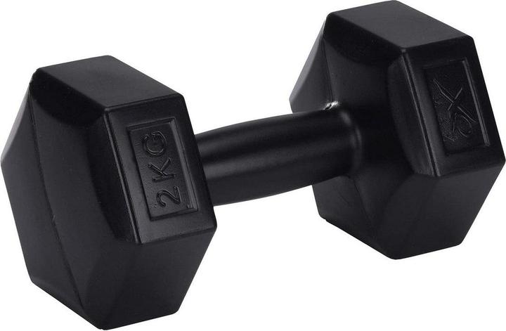 Immagine prodotto XQ Max Set manubrio (2 x 2 kg)