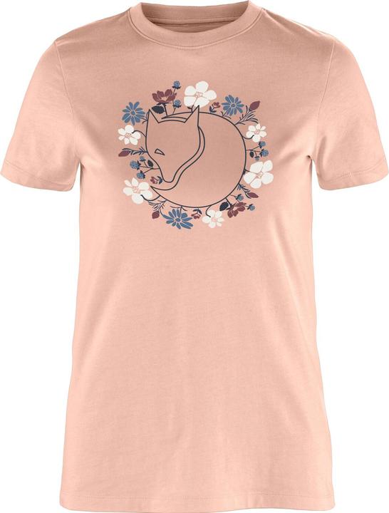 chalk rose, Rose