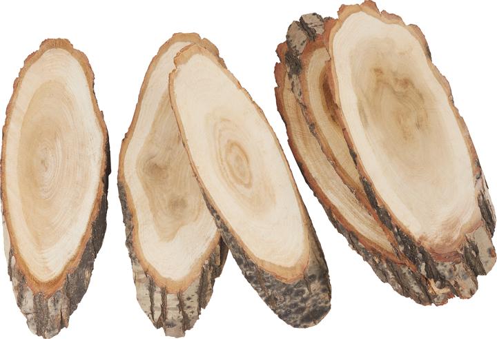 VBS XXL tree discs "Oval", 6 pieces, approx. 30 x 12 cm